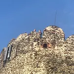 U Wlochow Rozanka Kolo Miedzylesia Przyjazny Zwierzetom Domowym *