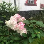 Homestay szállás U Wlochow Rozanka Kolo Miedzylesia Przyjazny Zwierzetom Domowym