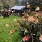 U Wlochow Rozanka Kolo Miedzylesia Przyjazny Zwierzetom Domowym *