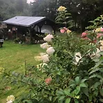 U Wlochow Rozanka Kolo Miedzylesia Przyjazny Zwierzetom Domowym * Międzylesie