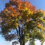U Wlochow Rozanka Kolo Miedzylesia Przyjazny Zwierzetom Domowym Homestay szállás