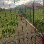 U Wlochow Rozanka Kolo Miedzylesia Przyjazny Zwierzetom Domowym * Międzylesie