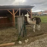 U Wlochow Rozanka Kolo Miedzylesia Przyjazny Zwierzetom Domowym * Międzylesie