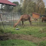 Homestay szállás U Wlochow Rozanka Kolo Miedzylesia Przyjazny Zwierzetom Domowym *