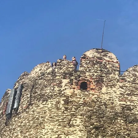 U Wlochow Rozanka Kolo Miedzylesia Przyjazny Zwierzetom Domowym *