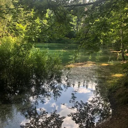 U Wlochow Rozanka Kolo Miedzylesia Przyjazny Zwierzetom Domowym 홈스테이 *