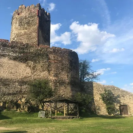 U Wlochow Rozanka Kolo Miedzylesia Przyjazny Zwierzetom Domowym