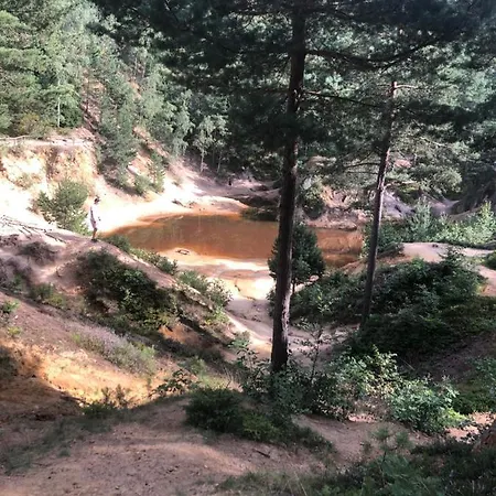 U Wlochow Rozanka Kolo Miedzylesia Przyjazny Zwierzetom Domowym * 미에드지레시