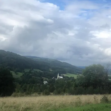 U Wlochow Rozanka Kolo Miedzylesia Przyjazny Zwierzetom Domowym