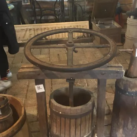 U Wlochow Rozanka Kolo Miedzylesia Przyjazny Zwierzetom Domowym * 미에드지레시