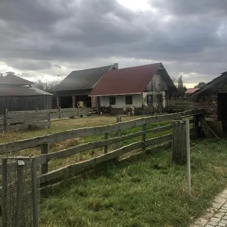 U Wlochow Rozanka Kolo Miedzylesia Przyjazny Zwierzetom Domowym 홈스테이 미에드지레시