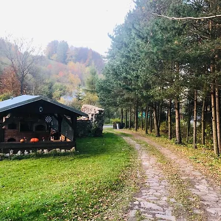 U Wlochow Rozanka Kolo Miedzylesia Przyjazny Zwierzetom Domowym *