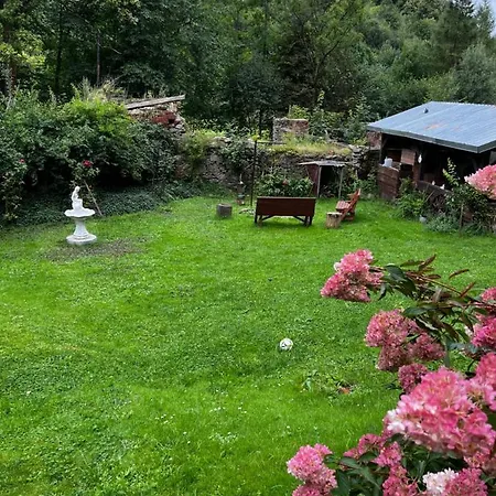 U Wlochow Rozanka Kolo Miedzylesia Przyjazny Zwierzetom Domowym 홈스테이 *