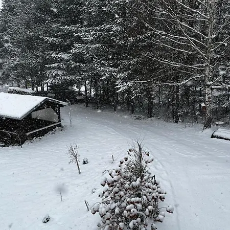 U Wlochow Rozanka Kolo Miedzylesia Przyjazny Zwierzetom Domowym 홈스테이 *