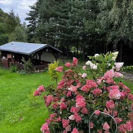 U Wlochow Rozanka Kolo Miedzylesia Przyjazny Zwierzetom Domowym *