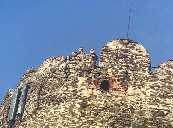 U Wlochow Rozanka Kolo Miedzylesia Przyjazny Zwierzetom Domowym *