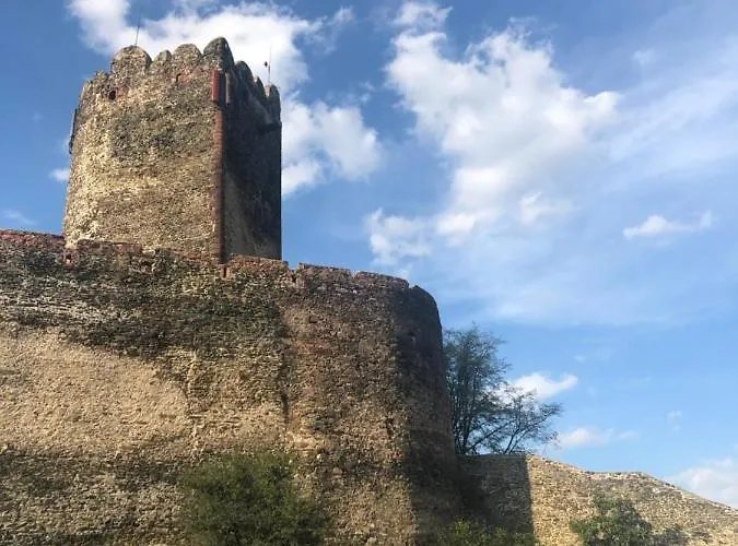 U Wlochow Rozanka Kolo Miedzylesia Przyjazny Zwierzetom Domowym Homestay *