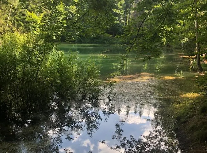 U Wlochow Rozanka Kolo Miedzylesia Przyjazny Zwierzetom Domowym Homestay *