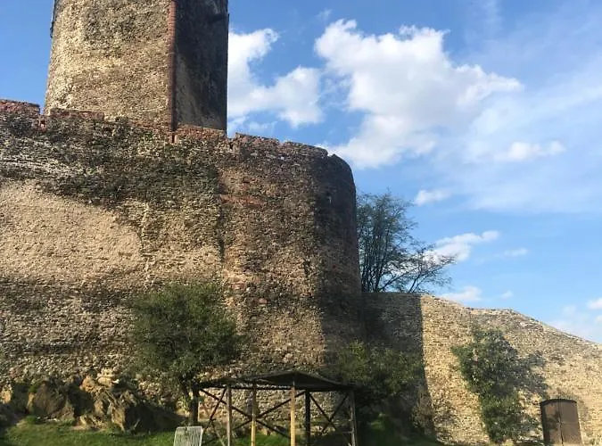 U Wlochow Rozanka Kolo Miedzylesia Przyjazny Zwierzetom Domowym