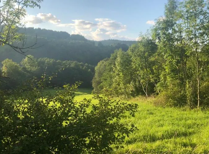 U Wlochow Rozanka Kolo Miedzylesia Przyjazny Zwierzetom Domowym Homestay