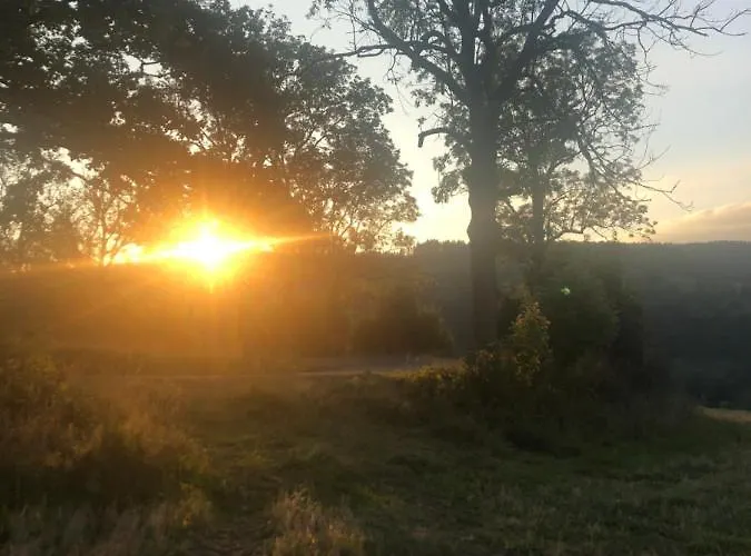 U Wlochow Rozanka Kolo Miedzylesia Przyjazny Zwierzetom Domowym * Miedzylesie (Silesia)