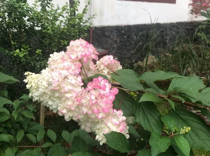 Homestay U Wlochow Rozanka Kolo Miedzylesia Przyjazny Zwierzetom Domowym