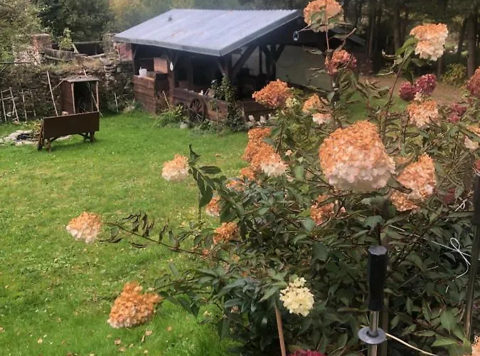 U Wlochow Rozanka Kolo Miedzylesia Przyjazny Zwierzetom Domowym *