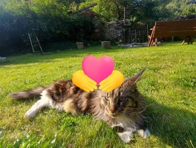 Homestay U Wlochow Rozanka Kolo Miedzylesia Przyjazny Zwierzetom Domowym Miedzylesie (Silesia)