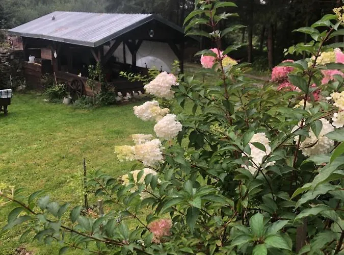 U Wlochow Rozanka Kolo Miedzylesia Przyjazny Zwierzetom Domowym * Miedzylesie (Silesia)