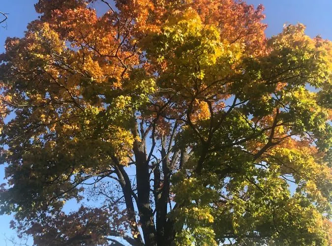 U Wlochow Rozanka Kolo Miedzylesia Przyjazny Zwierzetom Domowym Homestay