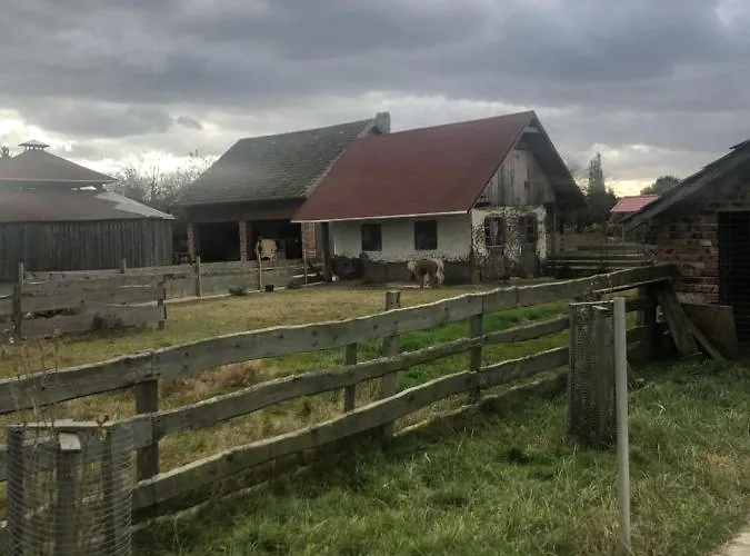 U Wlochow Rozanka Kolo Miedzylesia Przyjazny Zwierzetom Domowym Homestay Miedzylesie (Silesia)