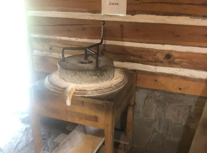 Homestay U Wlochow Rozanka Kolo Miedzylesia Przyjazny Zwierzetom Domowym