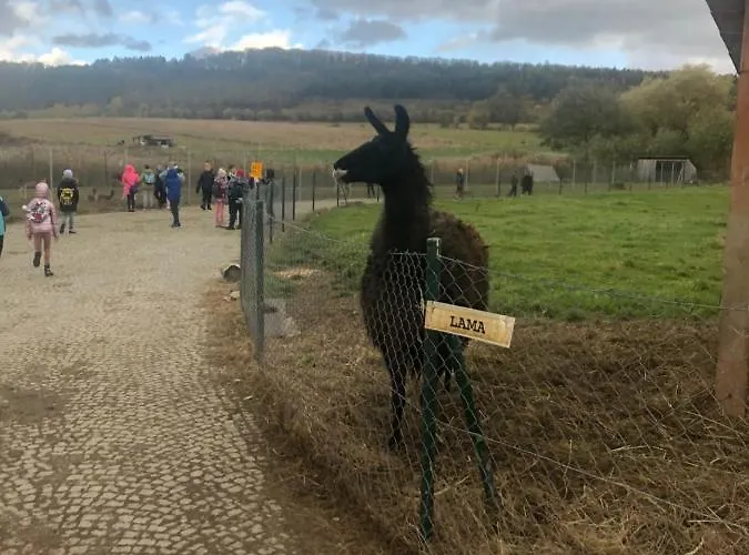 U Wlochow Rozanka Kolo Miedzylesia Przyjazny Zwierzetom Domowym Homestay Miedzylesie (Silesia)