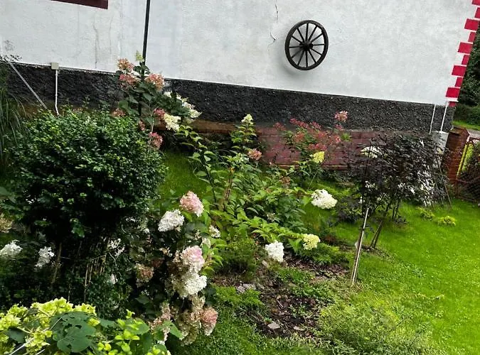 U Wlochow Rozanka Kolo Miedzylesia Przyjazny Zwierzetom Domowym * Miedzylesie (Silesia)