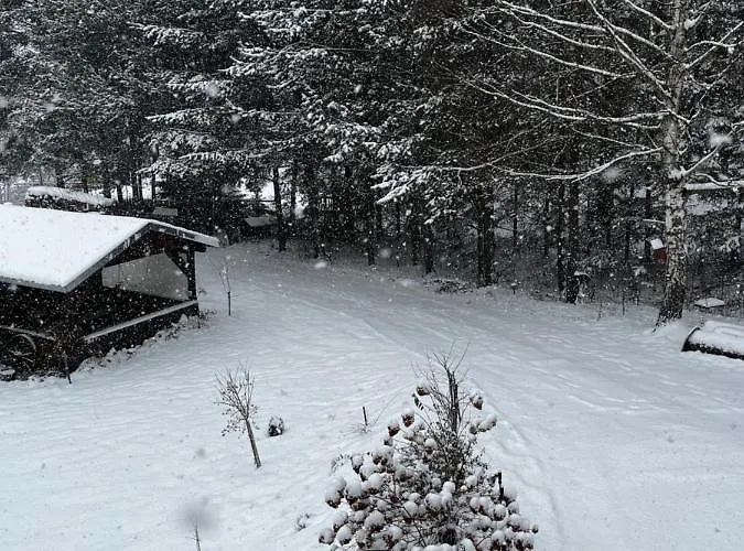 U Wlochow Rozanka Kolo Miedzylesia Przyjazny Zwierzetom Domowym Homestay *