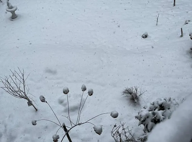 Homestay U Wlochow Rozanka Kolo Miedzylesia Przyjazny Zwierzetom Domowym