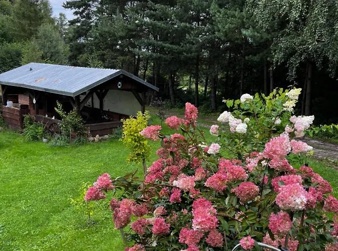 U Wlochow Rozanka Kolo Miedzylesia Przyjazny Zwierzetom Domowym *